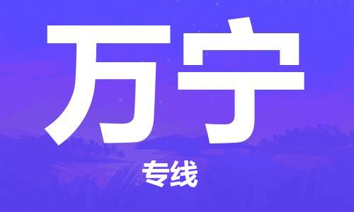 邯鄲到萬(wàn)寧物流公司-物流專線準(zhǔn)時(shí)到貨-送貨上門(mén)