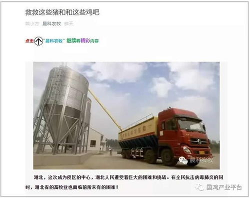 飼料告急！湖北龍頭養雞企業僅剩3天庫存，畜牧業協會緊急呼吁救急